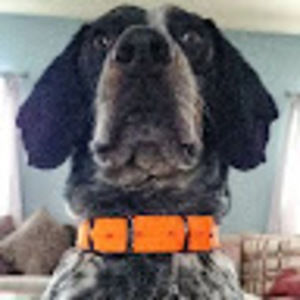 Meet your Posher, Ray